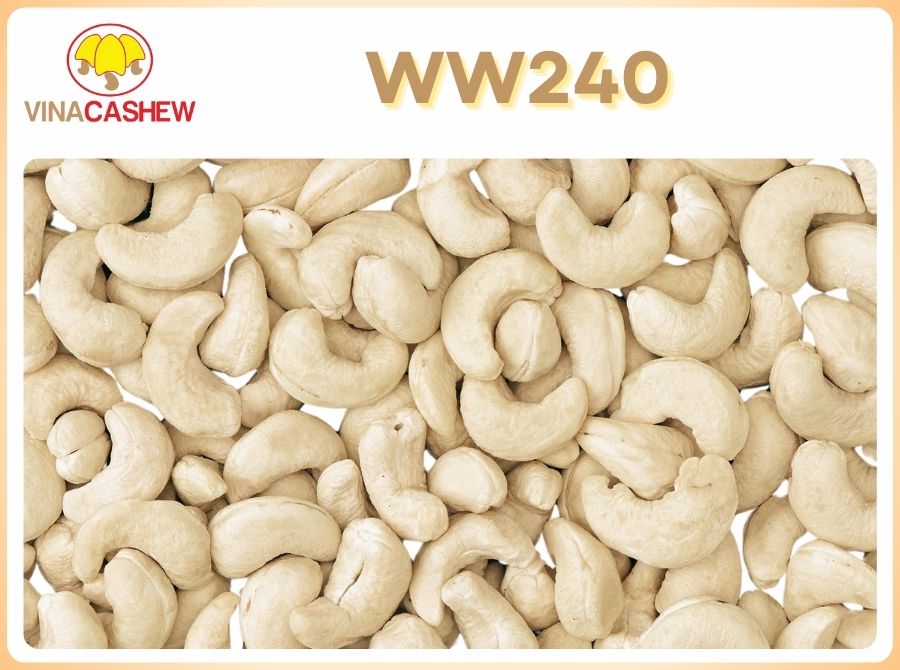 Giá hạt điều hôm nay bao nhiêu