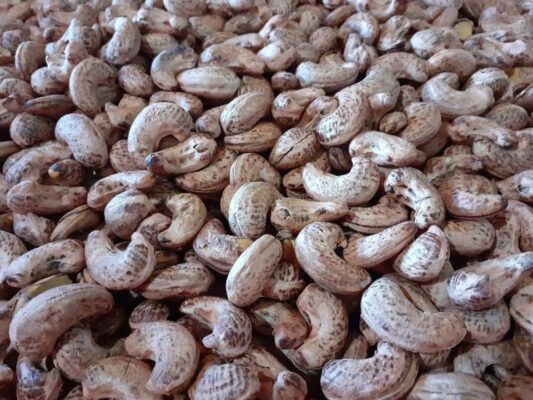 Hạt điều của nước nào ngon nhất?