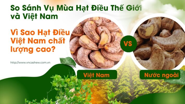Vì Sao Hạt Điều Việt Nam Chất Lượng Cao